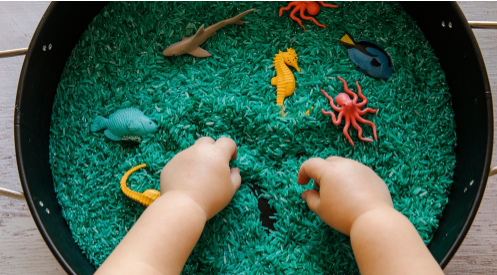 SENSORY STATION