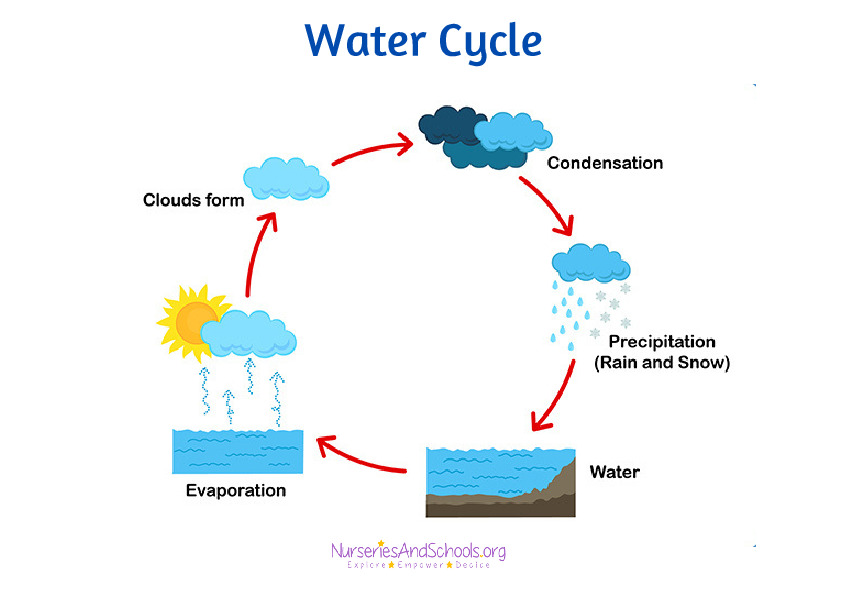 Water Cycle