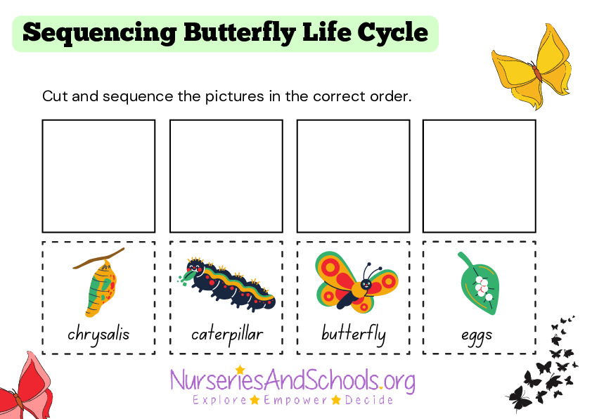 Sequencing Butterfly Life Cycle