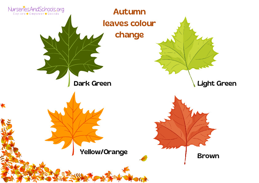 Autumn leaves colour change