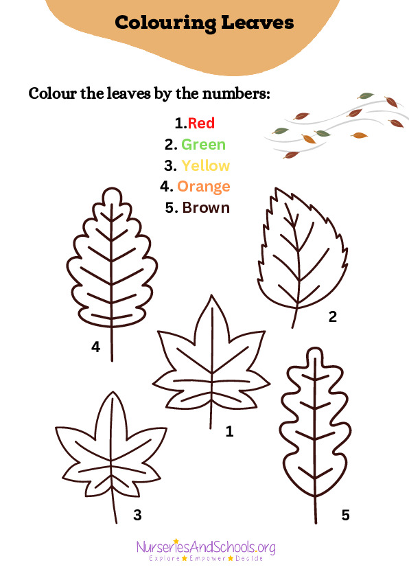 Colouring leaves by numbers activity