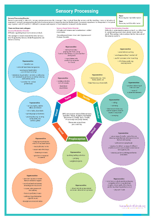 Sensory Processing