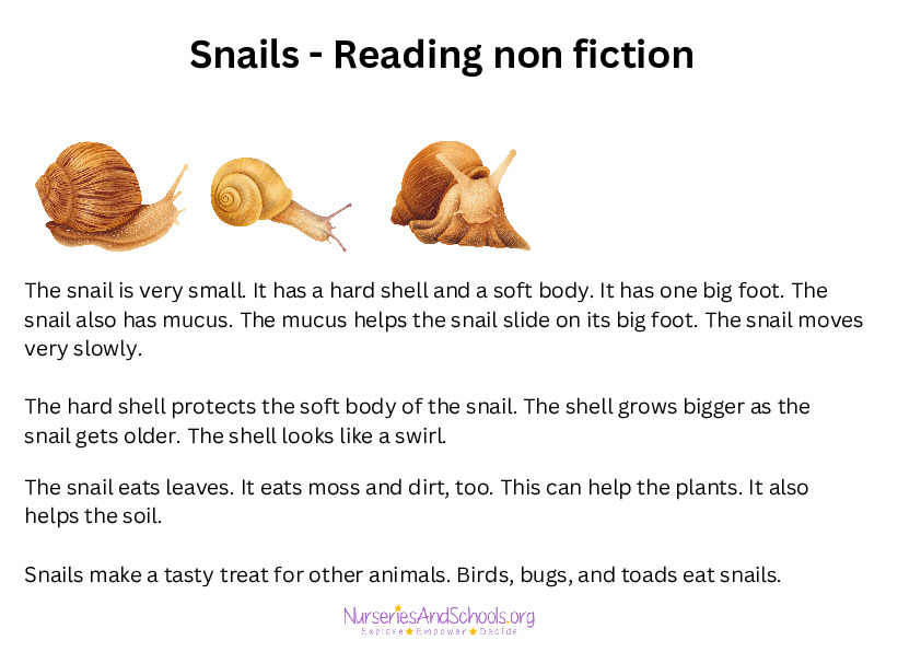 Snails - English reading - non fiction