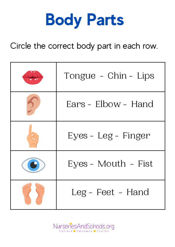 Circling correct body parts