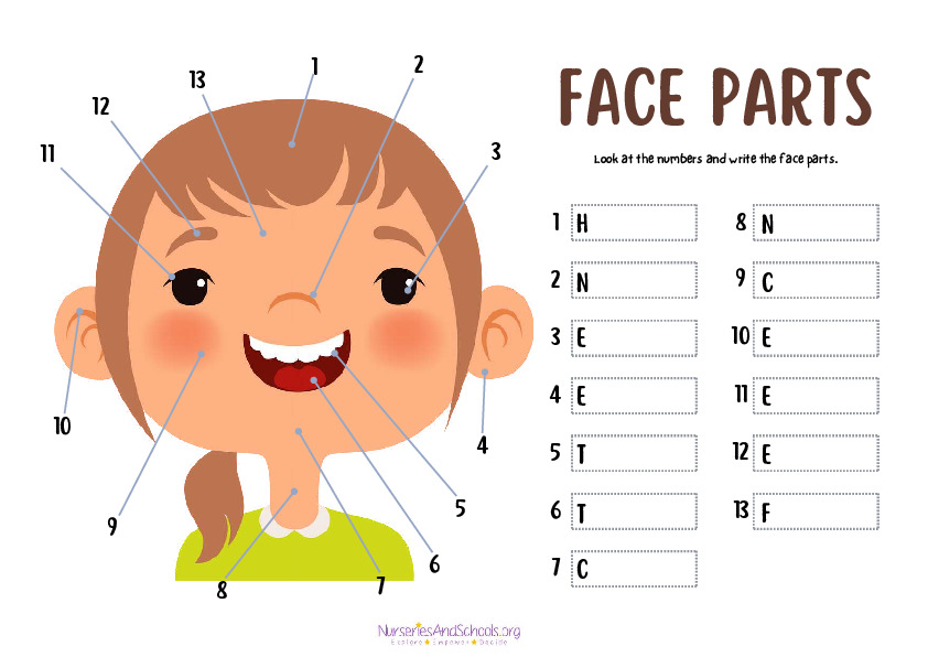 Label the face parts