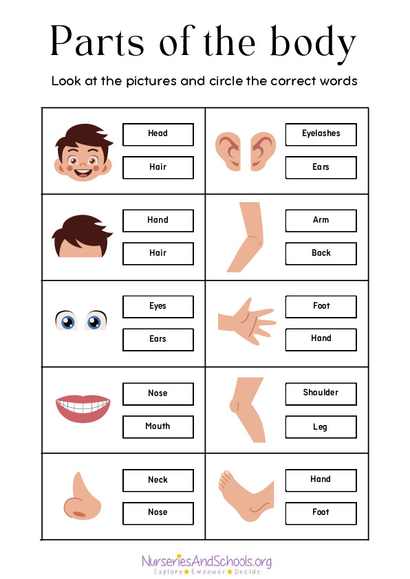 Parts of the body- KS1/KS2