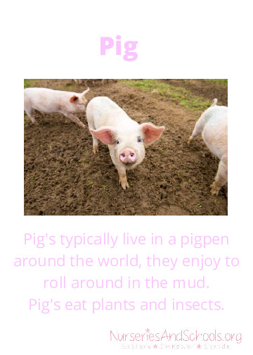 Farm animals- what they eat and their habitat.