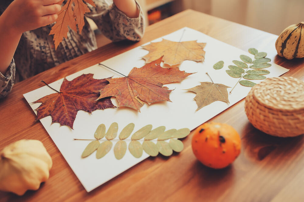 Leaves Are Falling