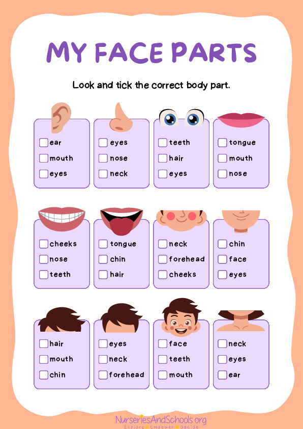 Parts of the face