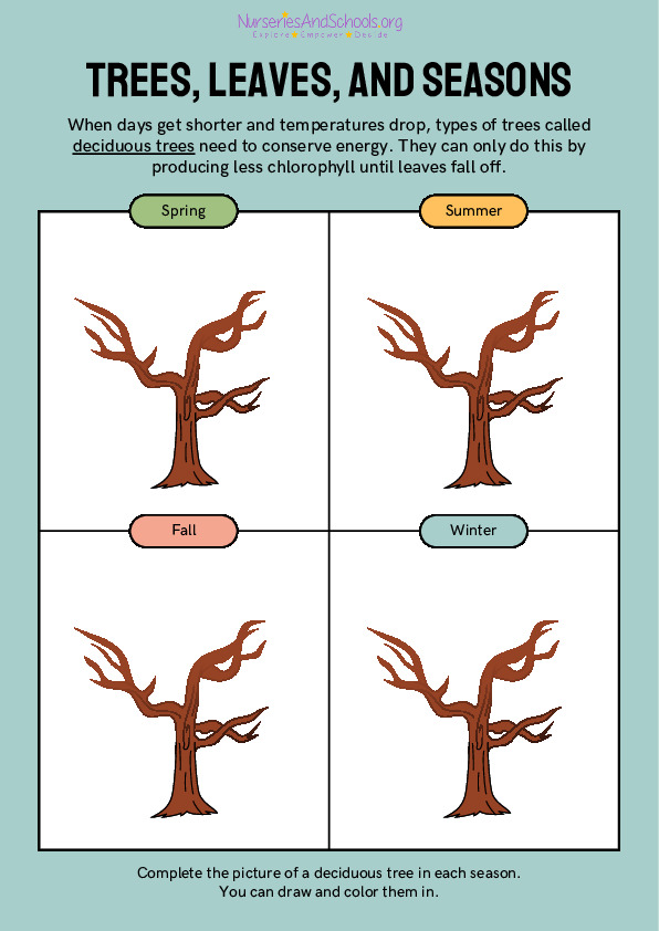 Plants in different seasons worksheet