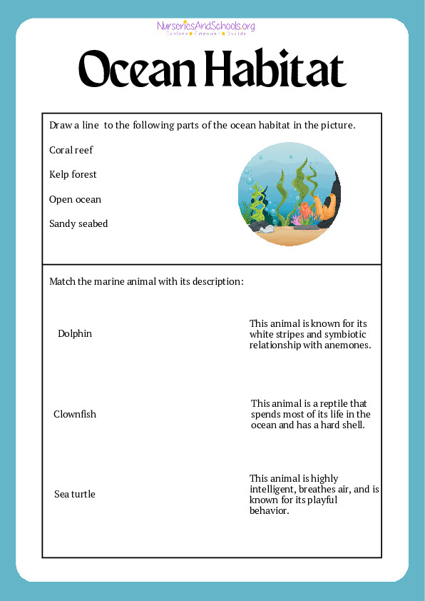 Ocean Habitat Worksheet