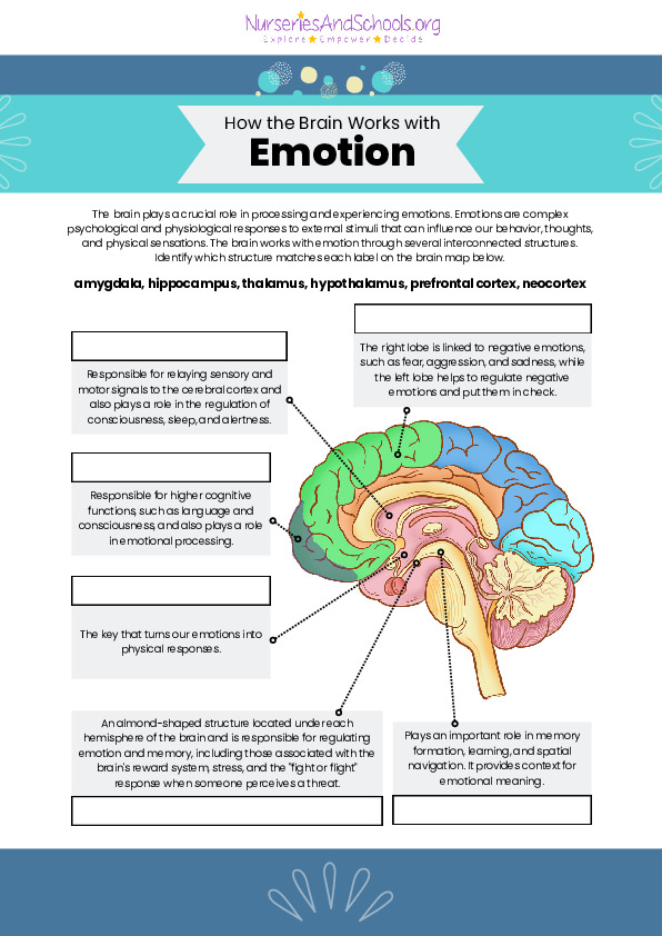 Neurodiversity Celebration Week- How the brain works with emotion