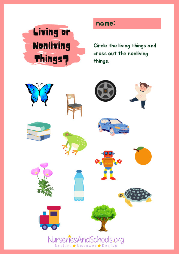 Living or Nonliving Things Worksheet