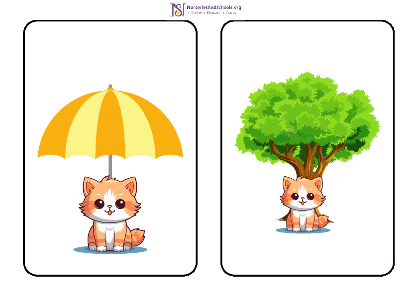 Where is the cat? Preposition cards