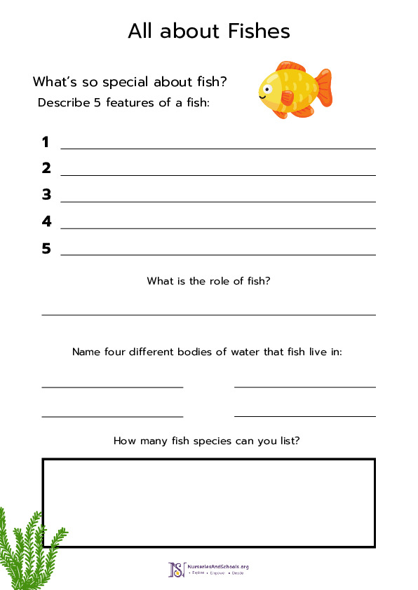 All about Fishes- Research and write