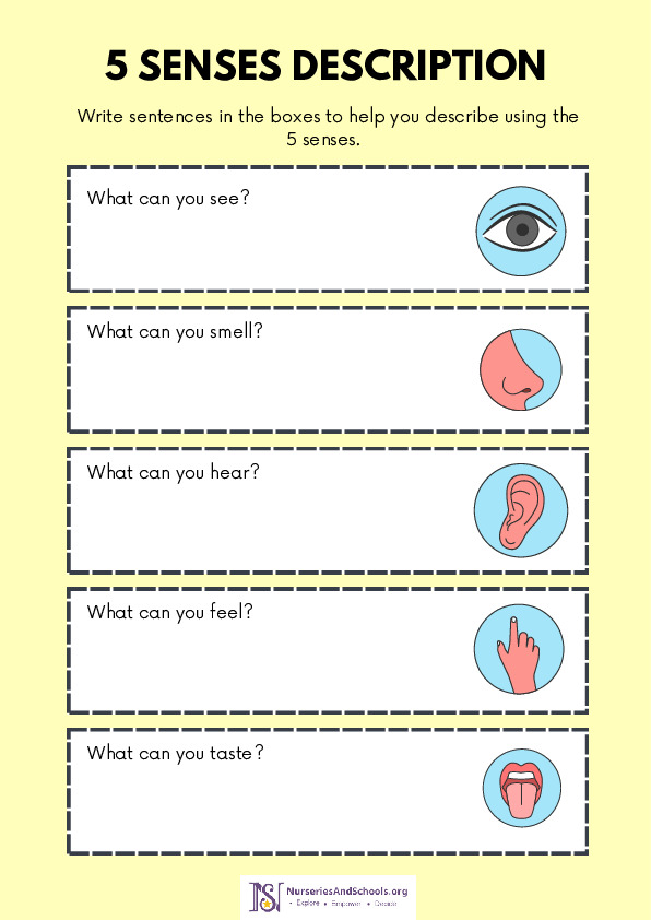 5 Senses Description