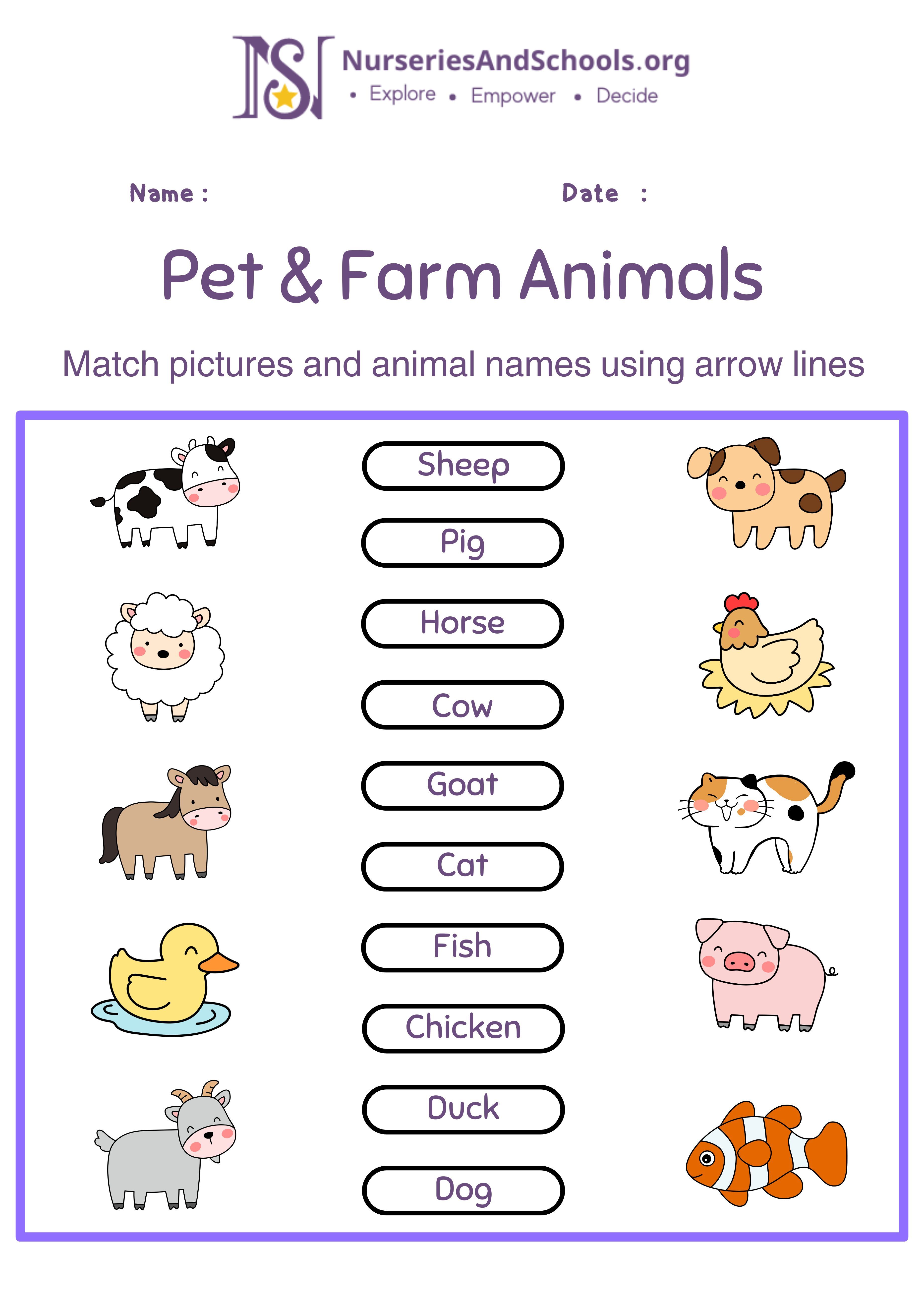 Pet & Farm Animals
