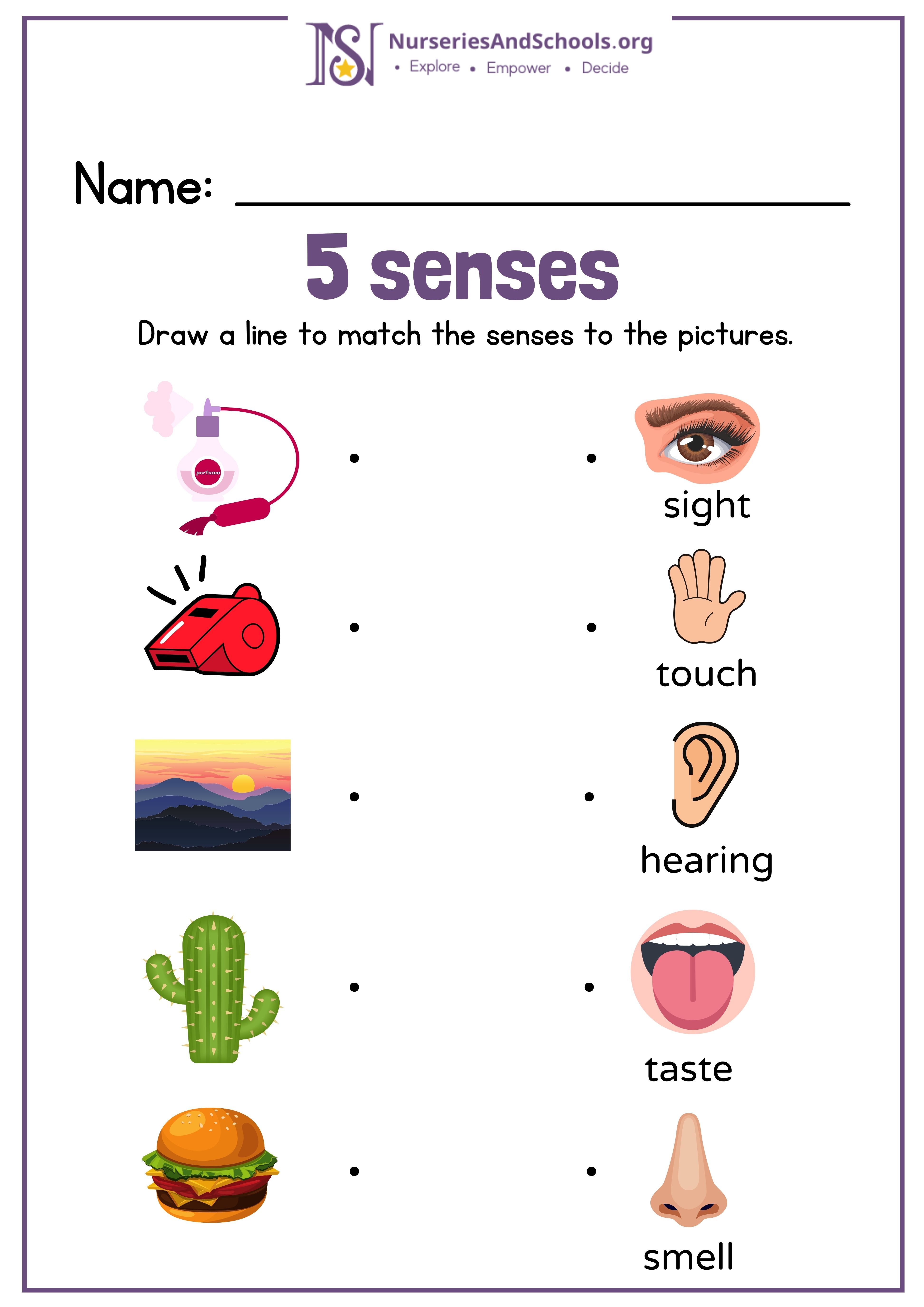 5 senses