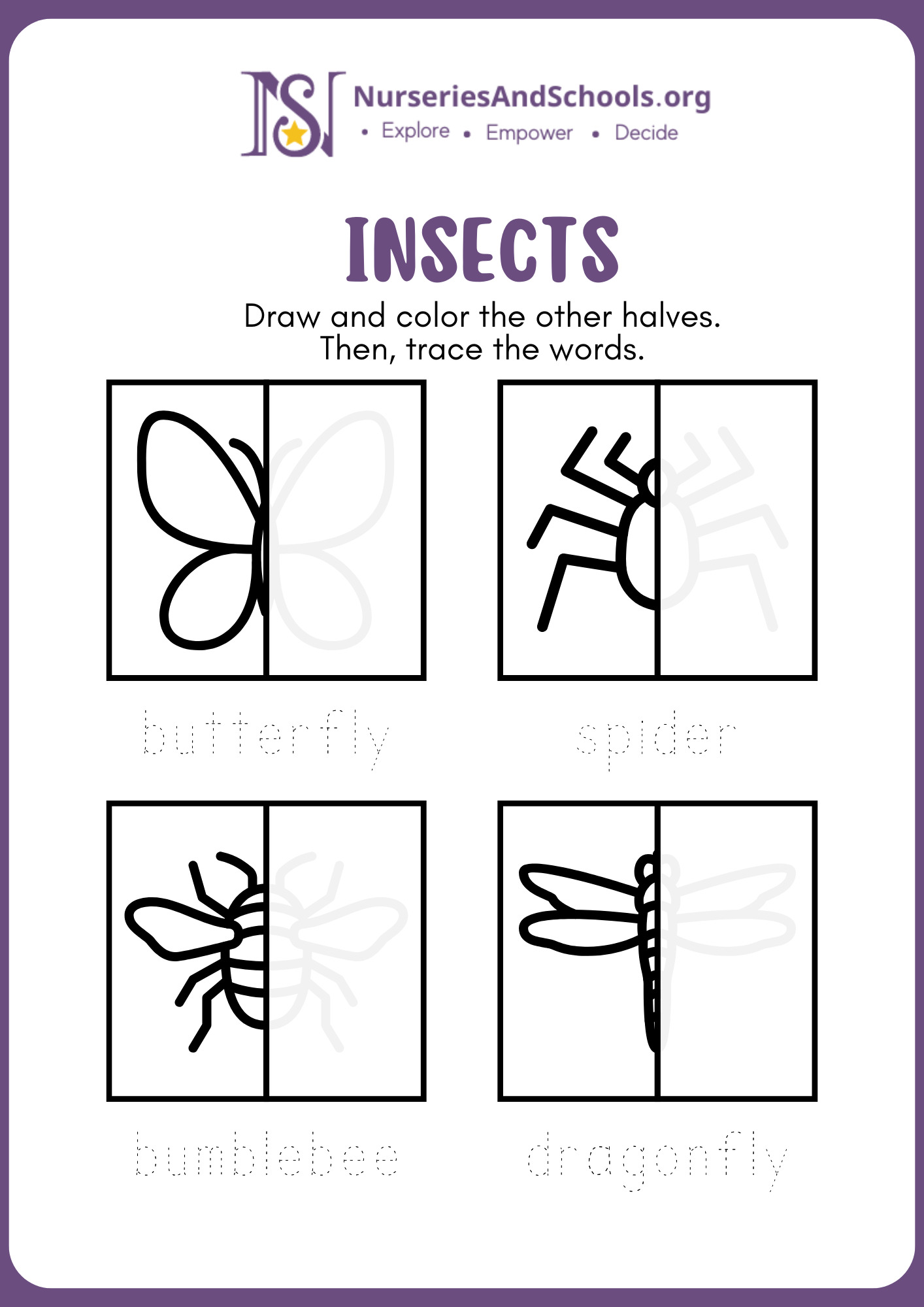 Insects