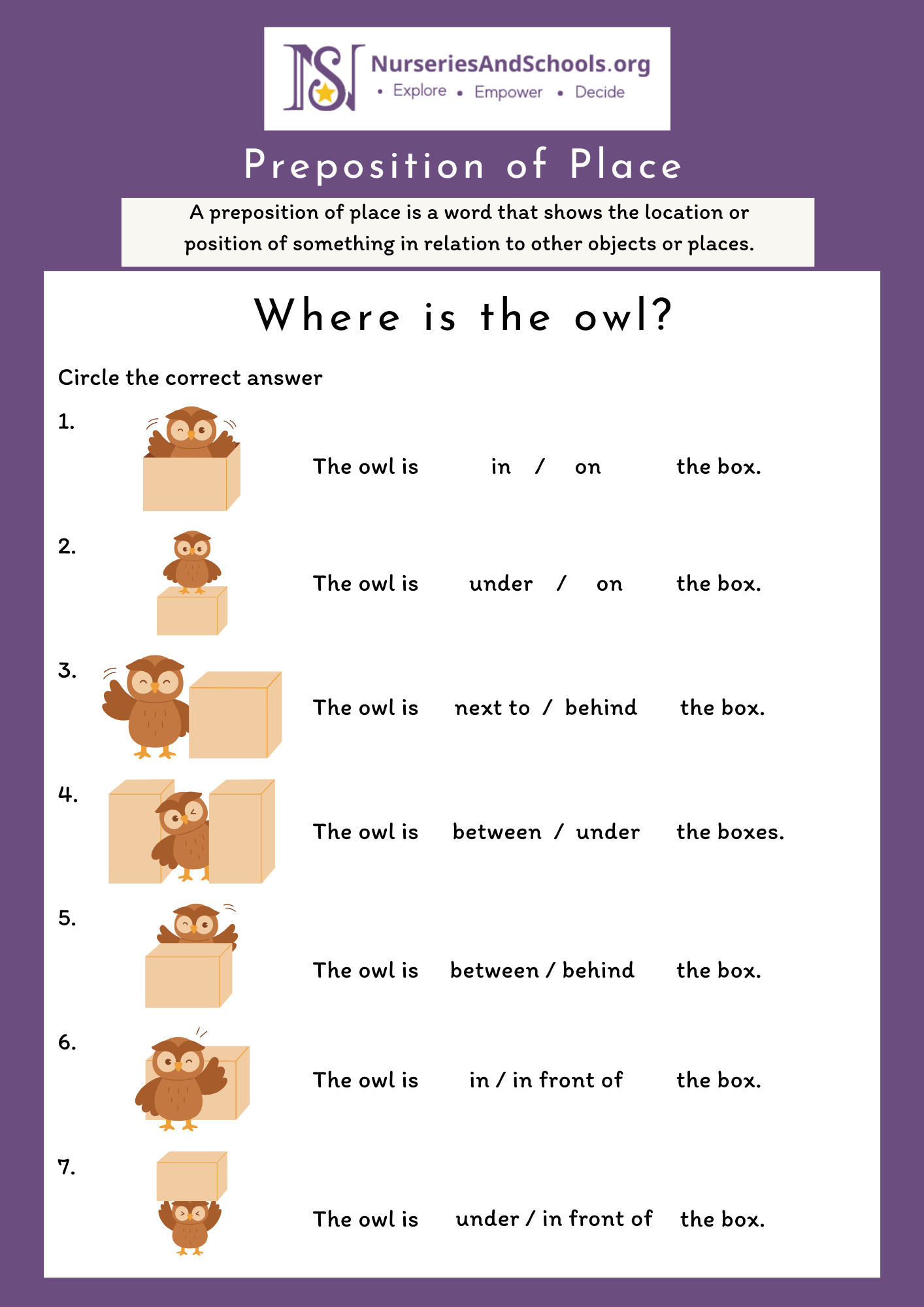 Where is the owl?