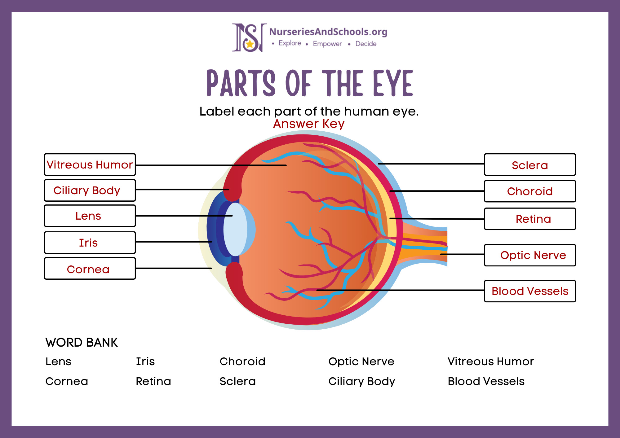 PARTS OF THE EYE