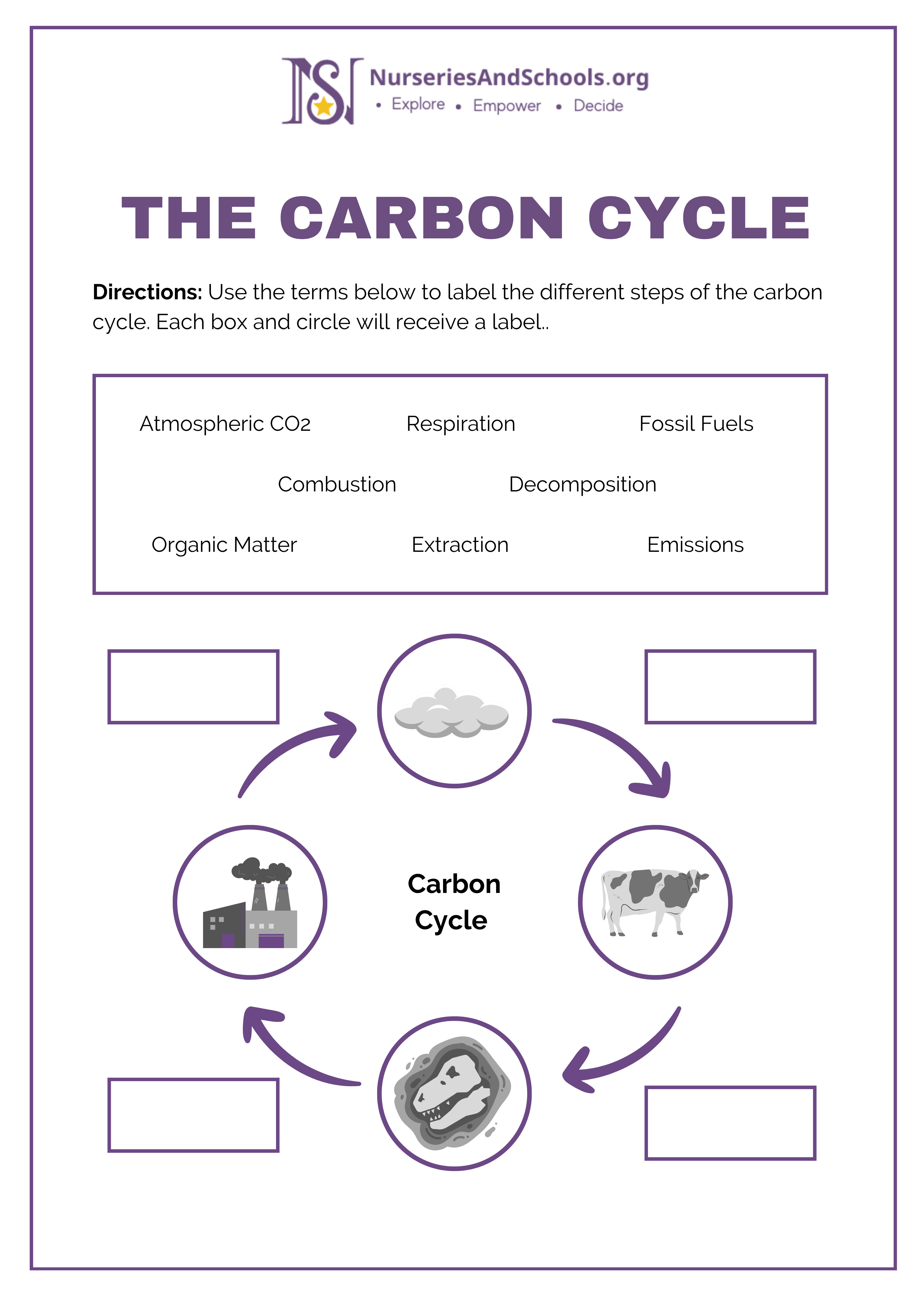 The Carbon Cycle