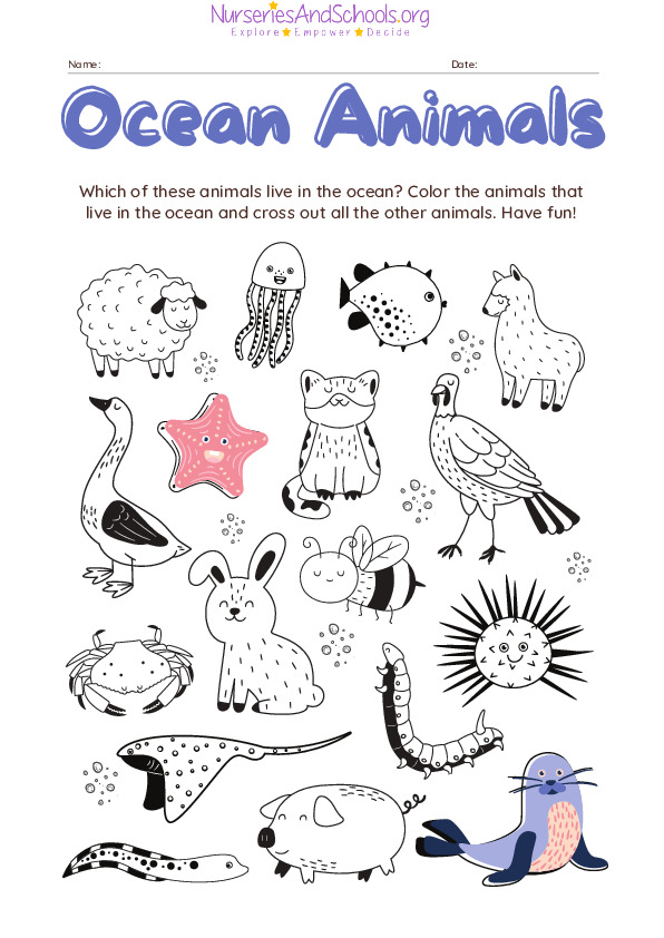 Ocean Animals Worksheet