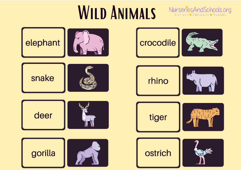 Wild Animals worksheet