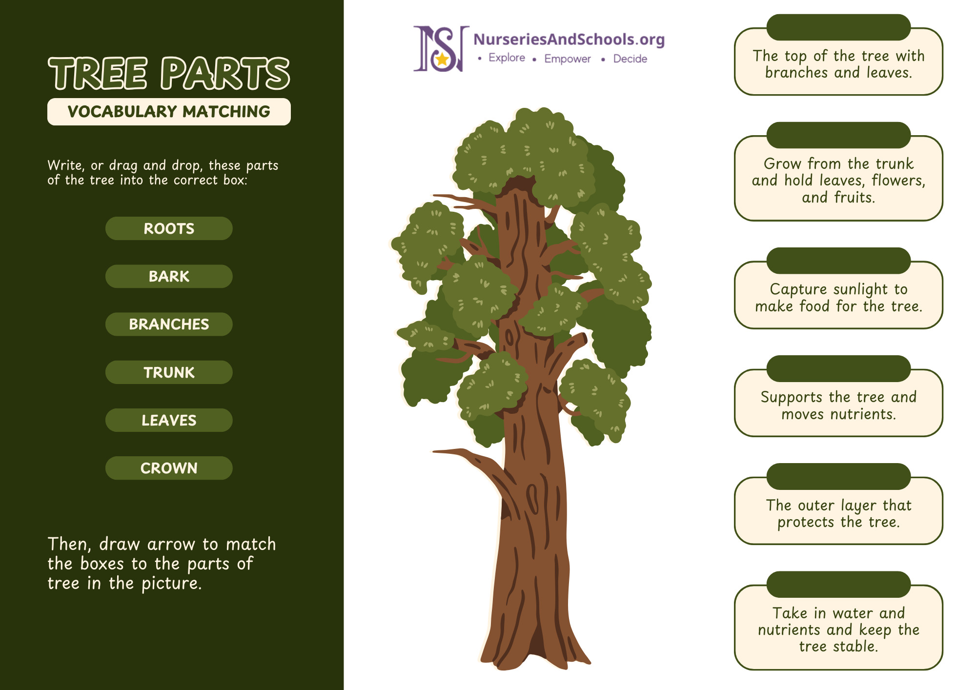 Tree Parts