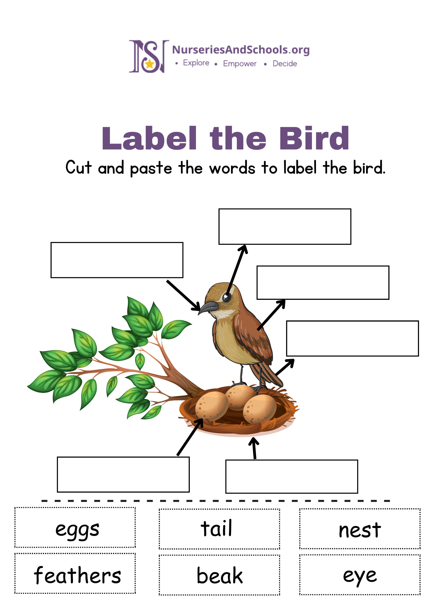 Label the Bird