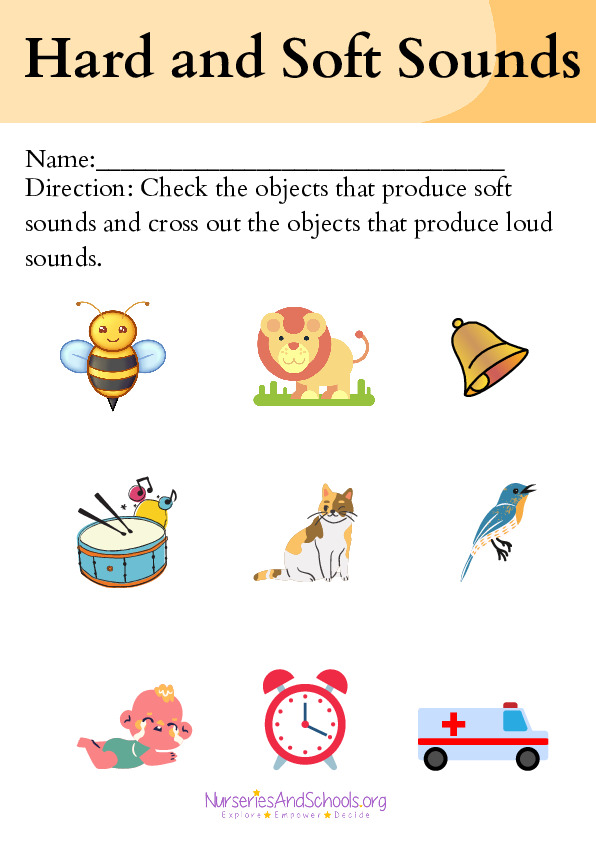 Hard and Soft Sounds Illustrative Science Worksheet