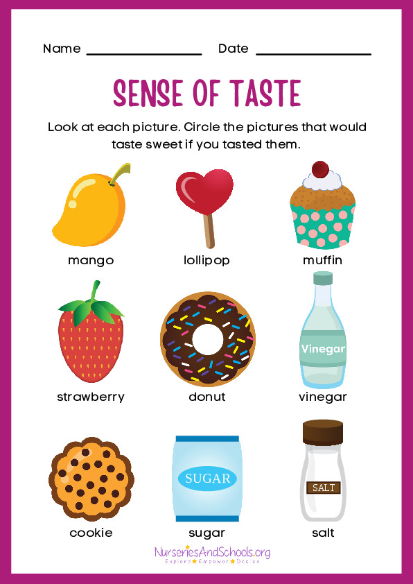 Sense of taste worksheet