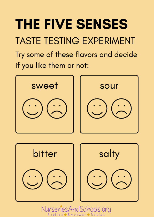 The five senses worksheet