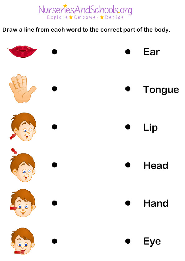 Body parts - SEN worksheet