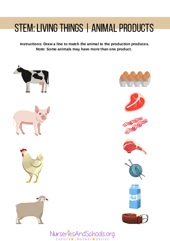 Animals Worksheet