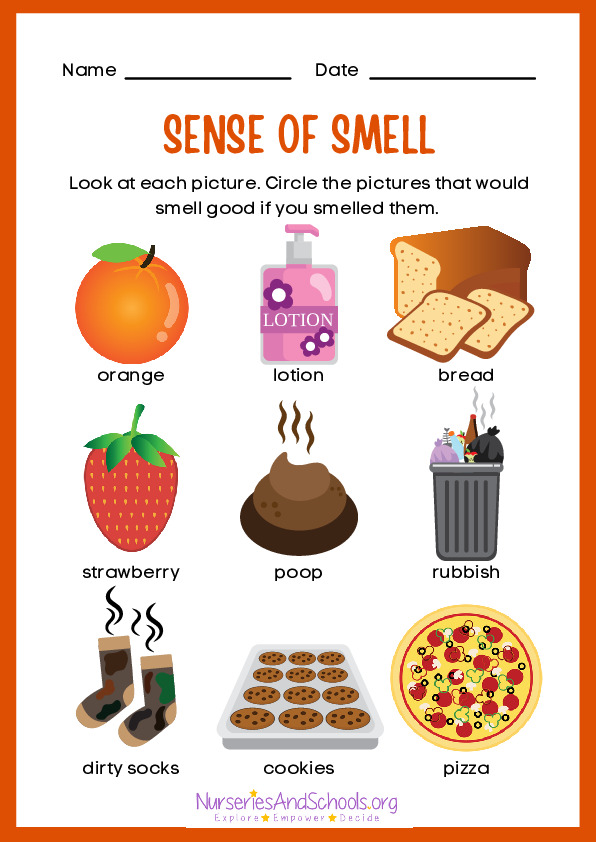 Sense of Smell Worksheet