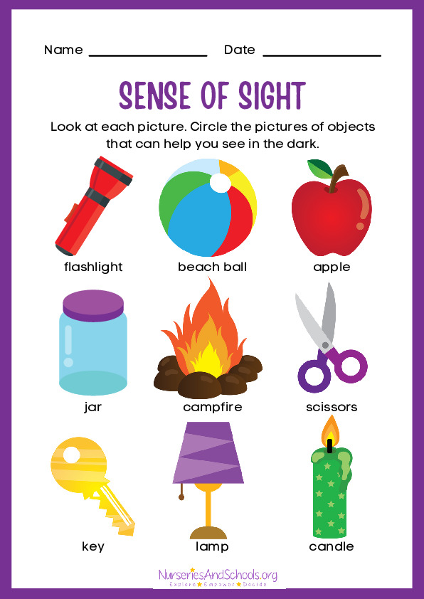 Sense of Sight Worksheet