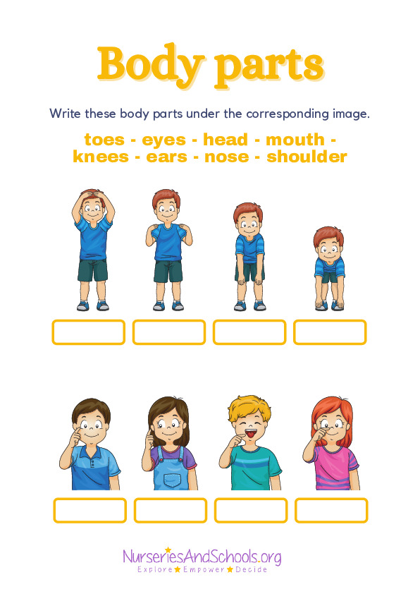 Body parts Worksheet