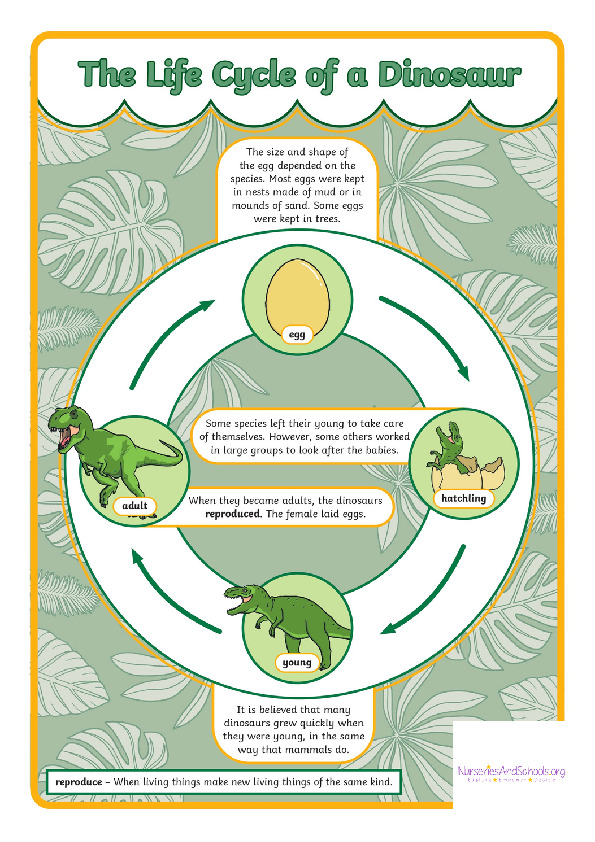 The life cycle of dinosaur