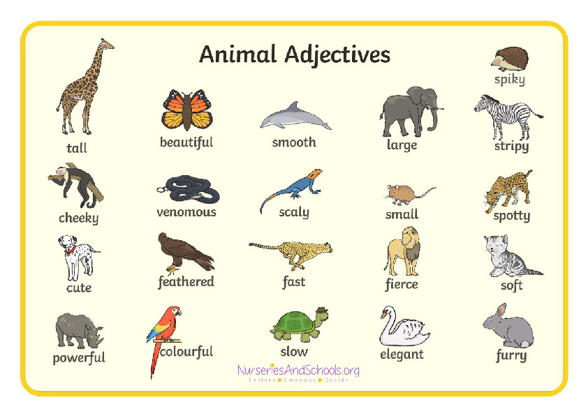 Animal adjectives