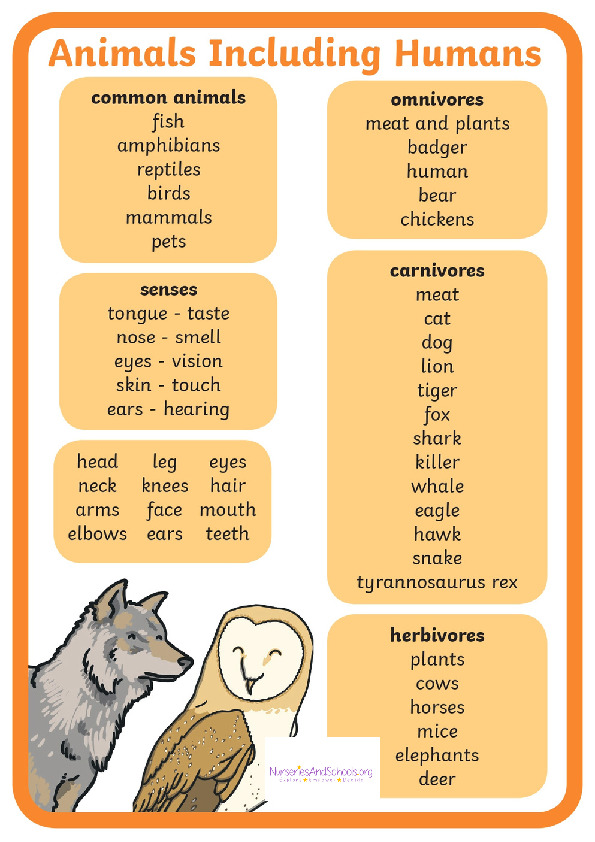 Scientific vocabulary - animals including humans