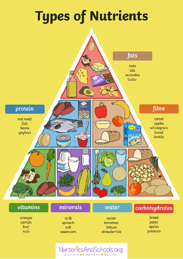 Types of nutrients