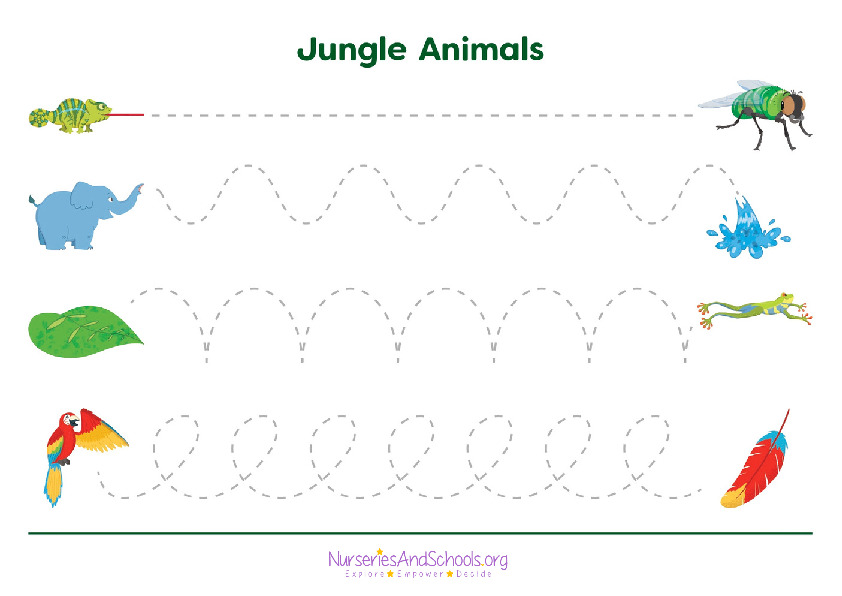 jungle animals - Tracing