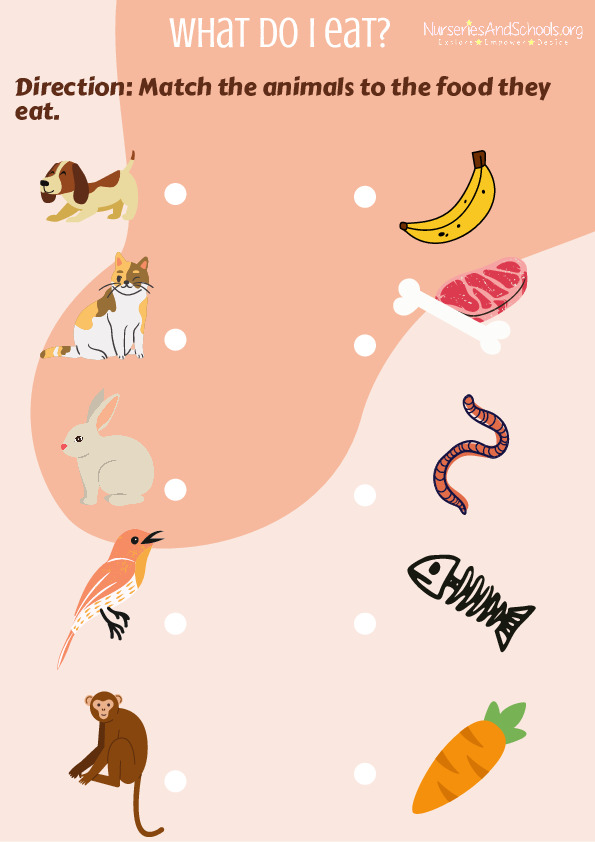 What do I eat? fun animal activity
