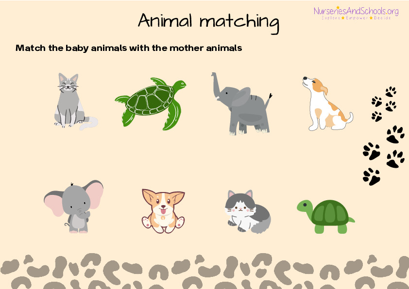 Animal matching - Matching activity