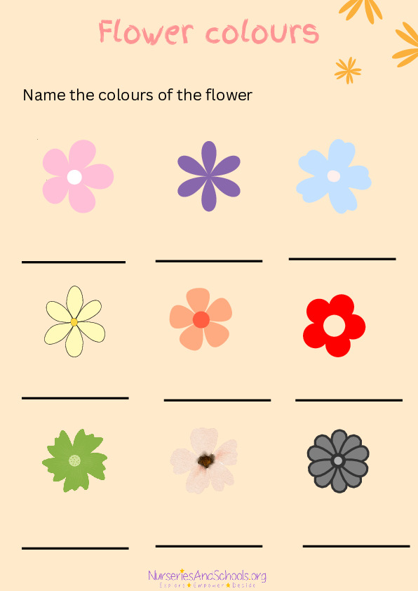 Flower colours