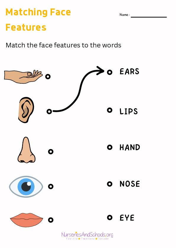 Matching Face Features