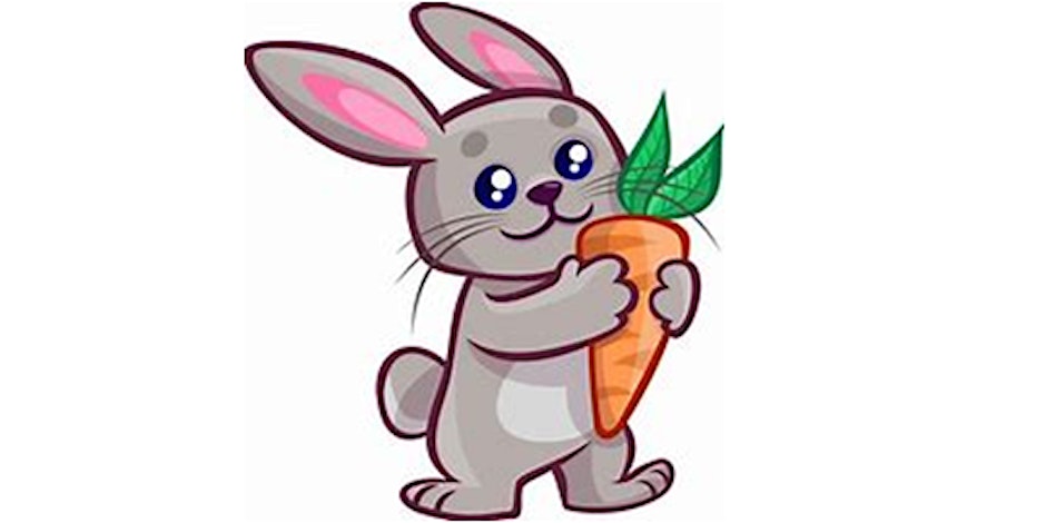 Spring Rabbit - Programming Basics