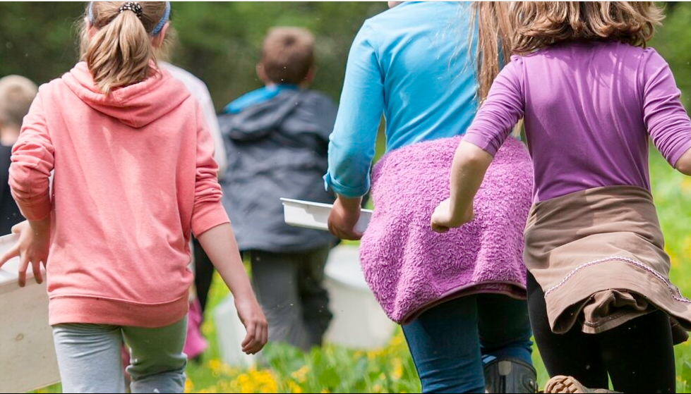 Easter Wild Zoologists' Day Camp Woolley Firs