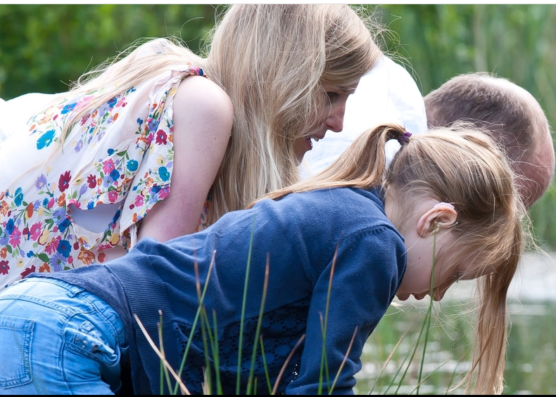 Pond Dipping for Families (morning) - Nature Discovery Centre